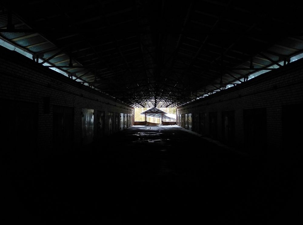 Photograph by Александр