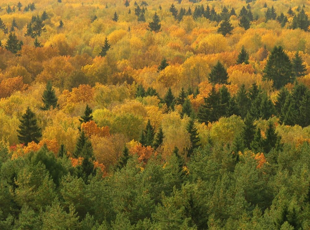 Photograph by Александр