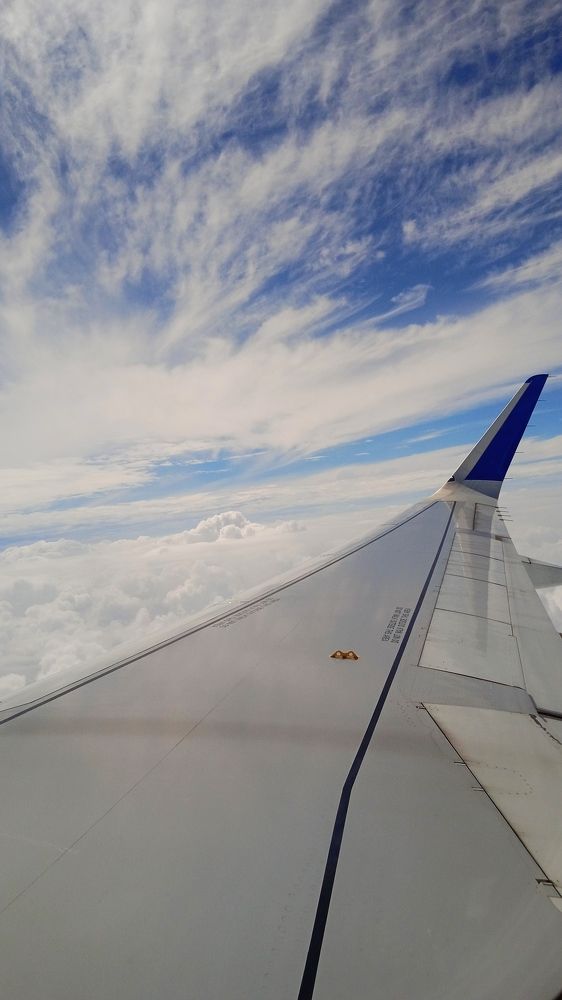 Photo #6612581