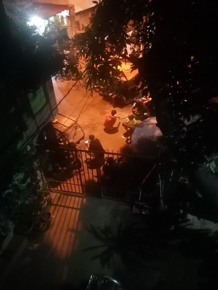 Photo #6612583