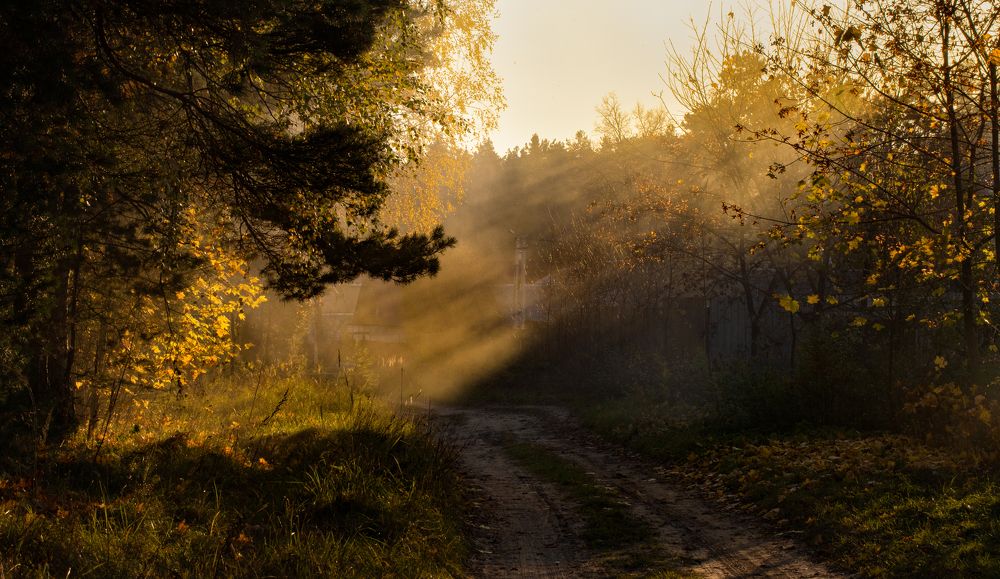 Photograph by Наталья Санталова