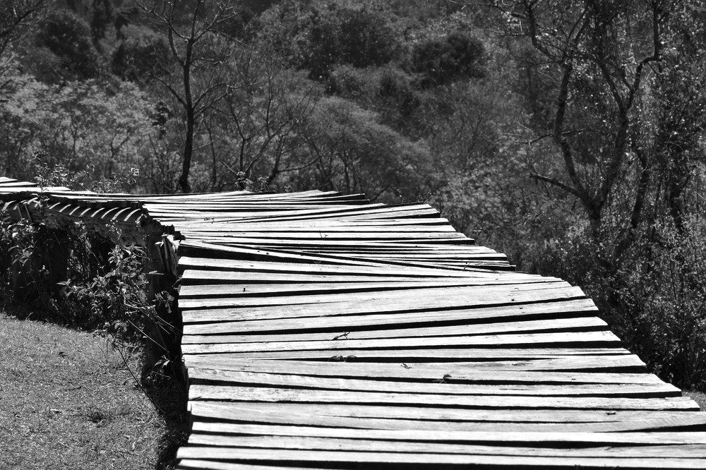 Photograph by Javier Batrosse