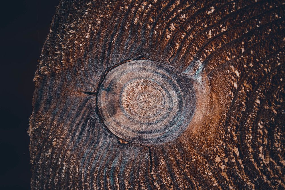 Photograph by Олечка