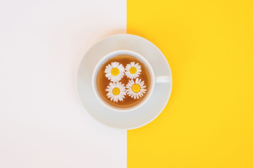 Фотография автора Елена Ельшина