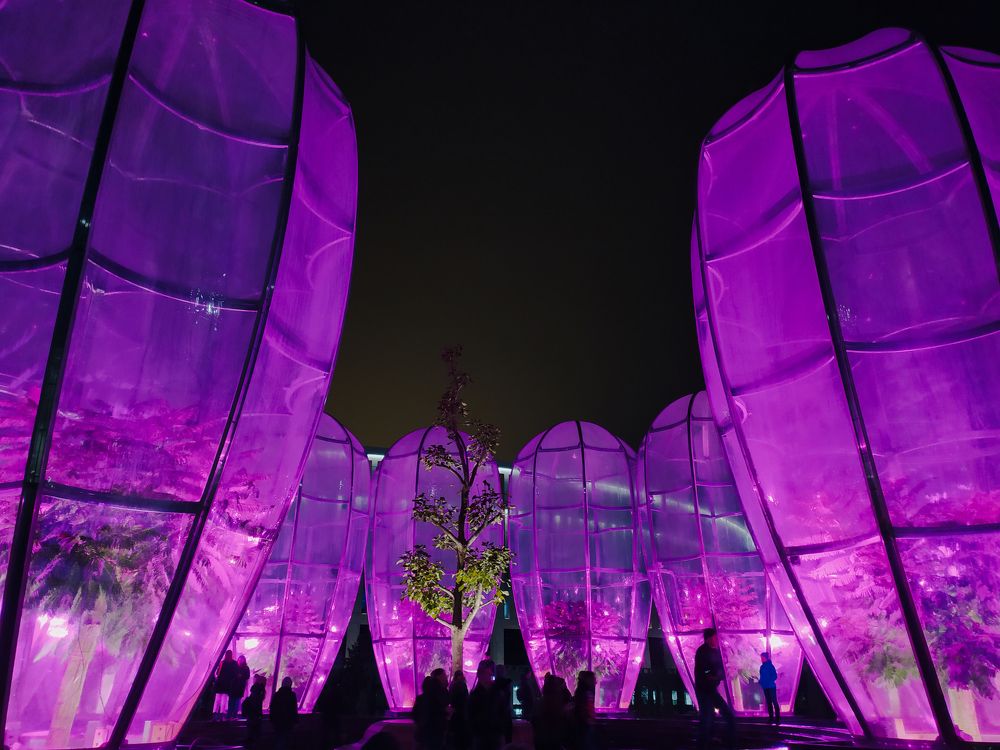 Photograph by Екатерина Щербакова