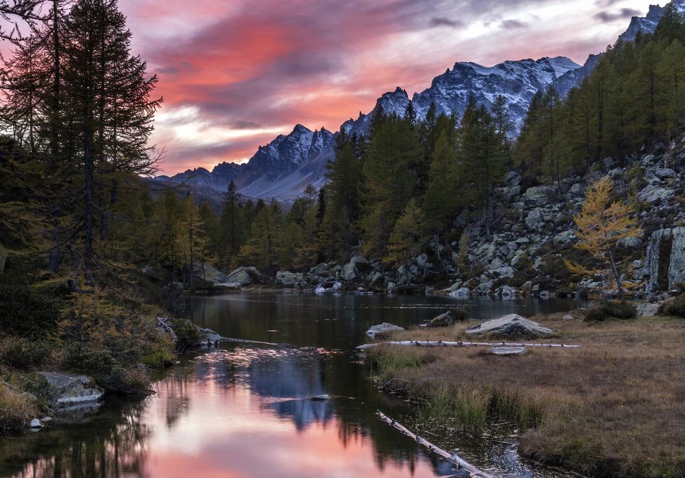 Photograph by Simone