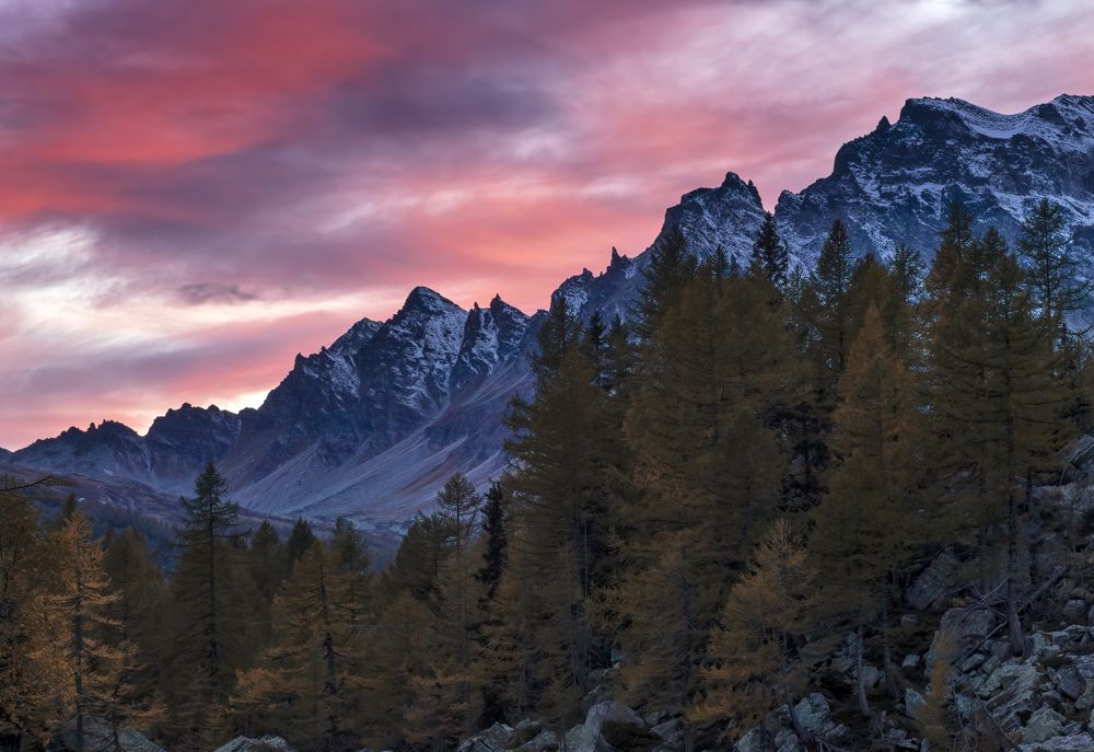 Photograph by Simone