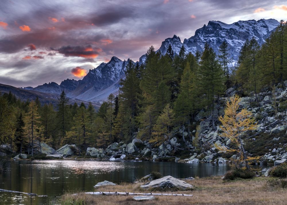 Photograph by Simone