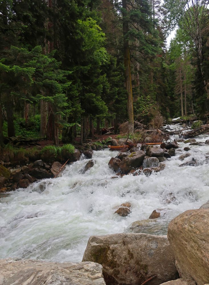 Photograph by Ольга Стоун