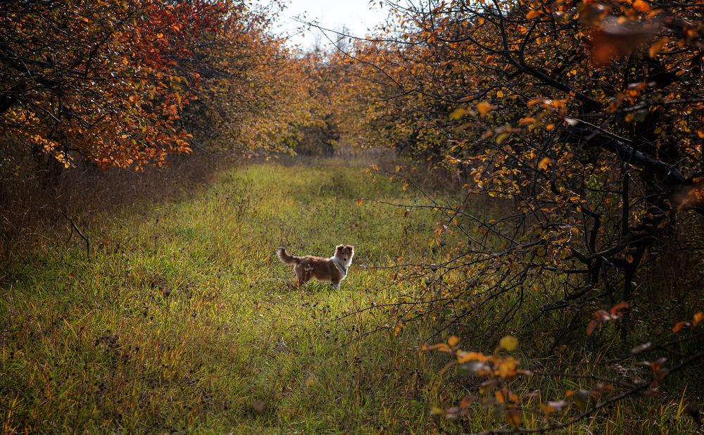 Photograph by наталья залогина