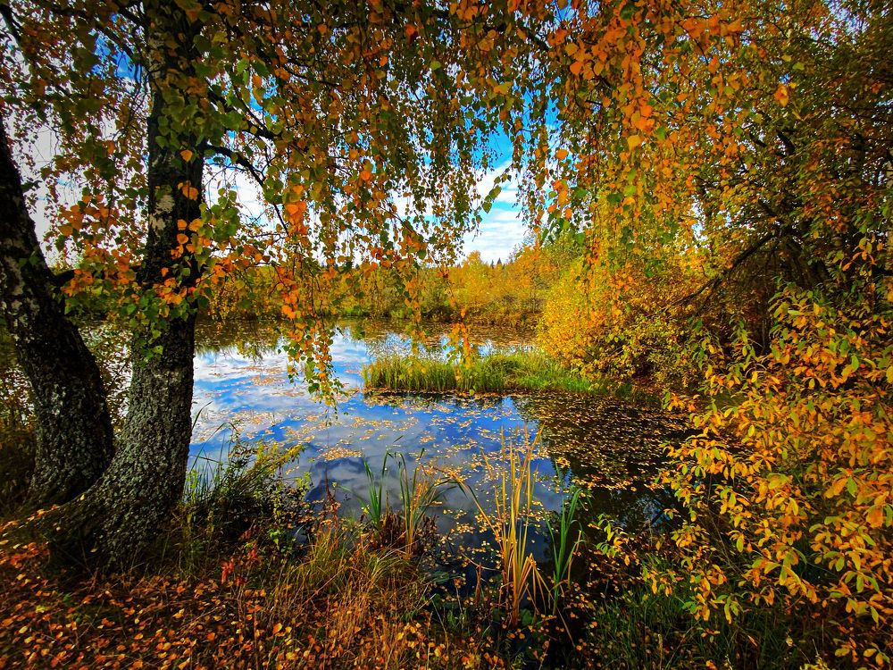 Photograph by Elena Makarova