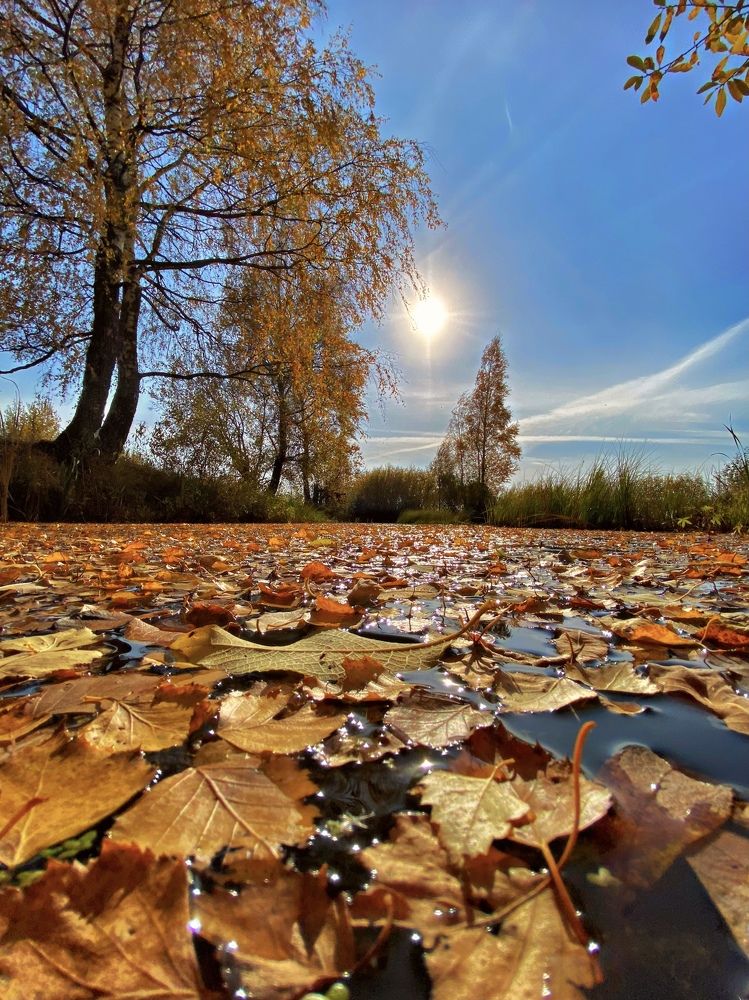 Photograph by Elena Makarova