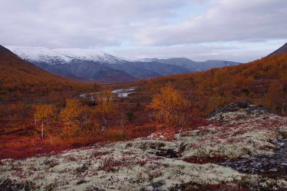 Photograph by Надежда Кузнецова