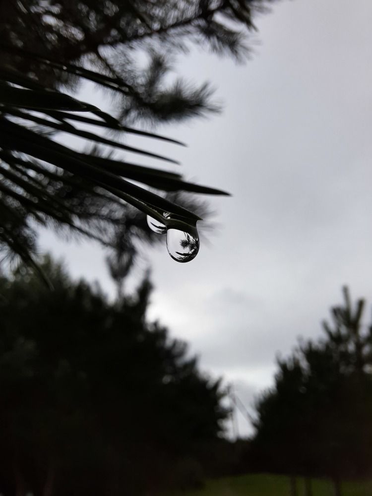 Photograph by Елена Волчкова