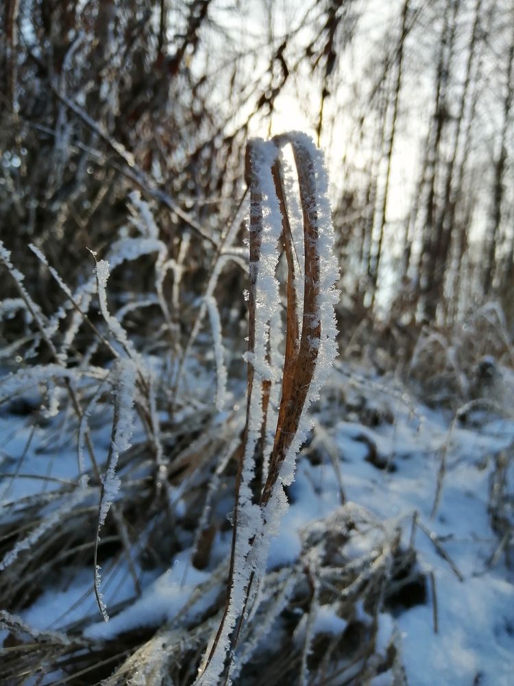 Photograph by Лена