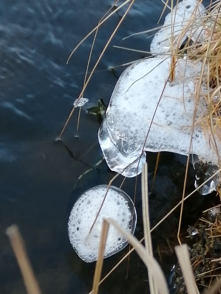 Photograph by Лена