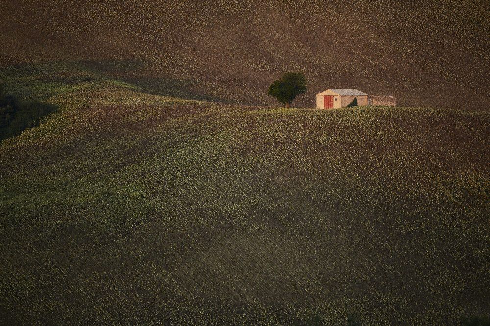 Photograph by Angelo Facondini