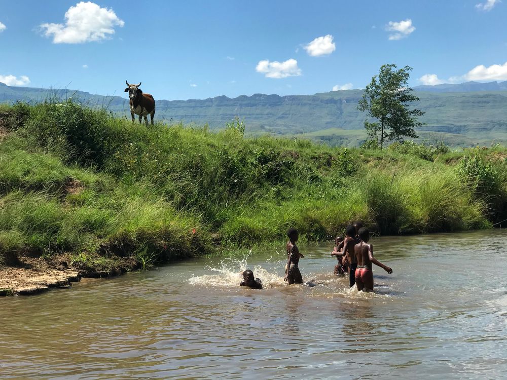 Photograph by Frankie Dobrovolsky