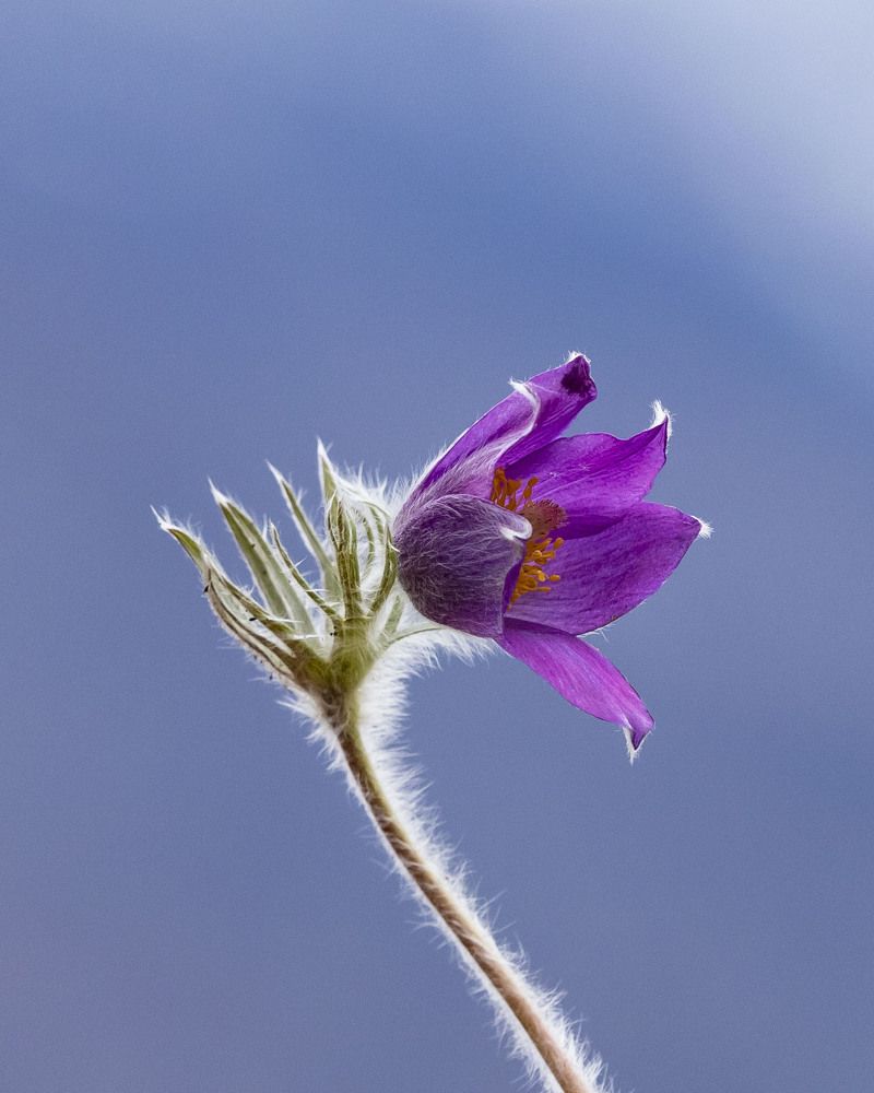 Photograph by ИРЕНА Федорова