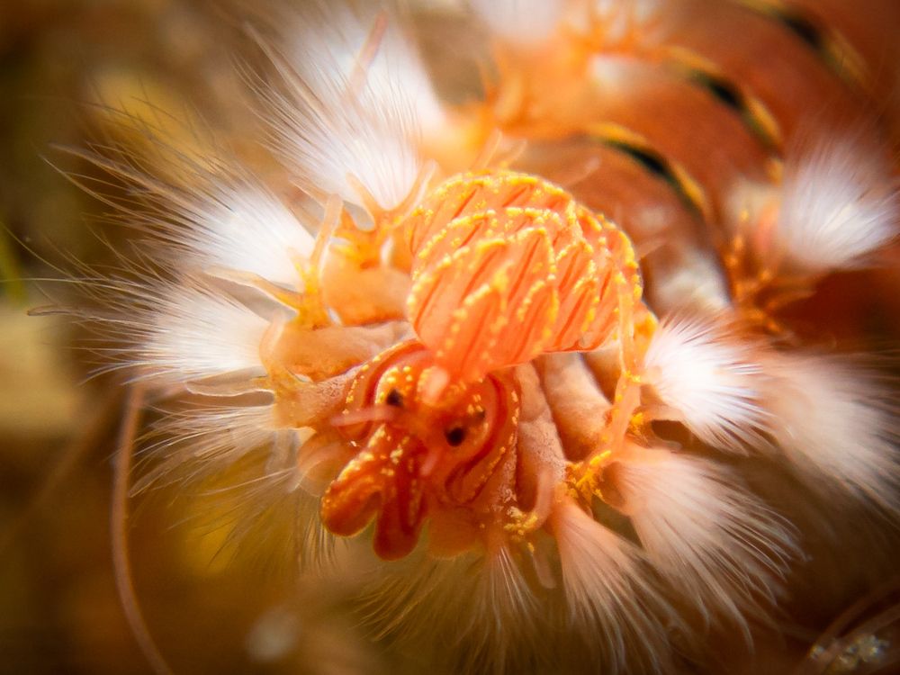 Photograph by Kateryna Terets