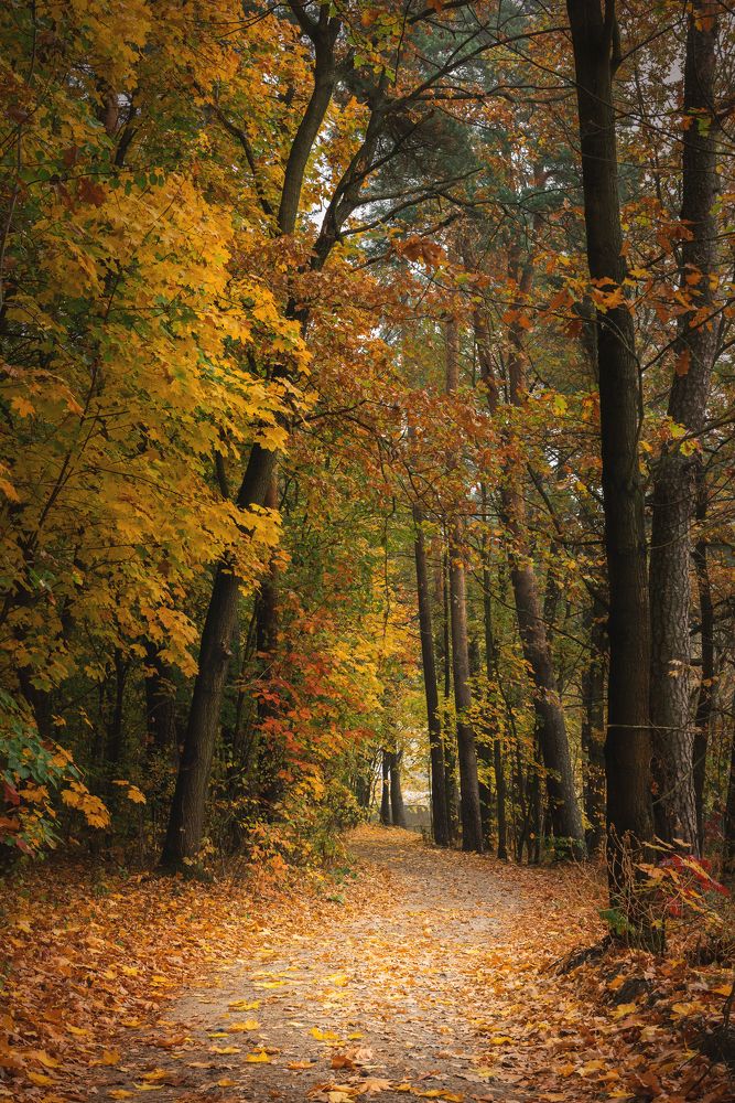 Photograph by Katarzyna Bochniak