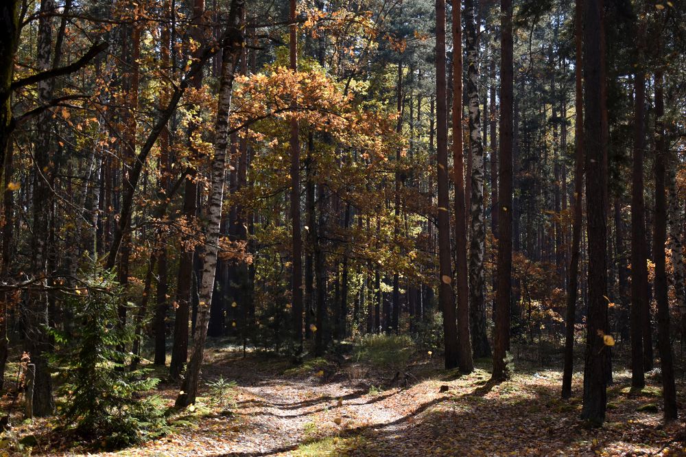 Photograph by Владимир Воложинский