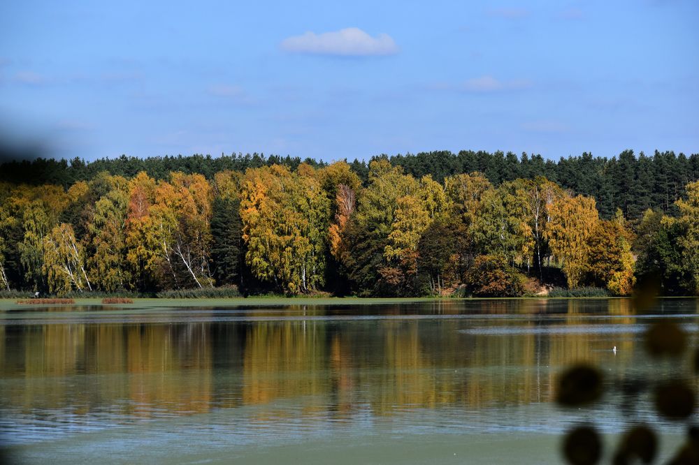 Photograph by Владимир Воложинский