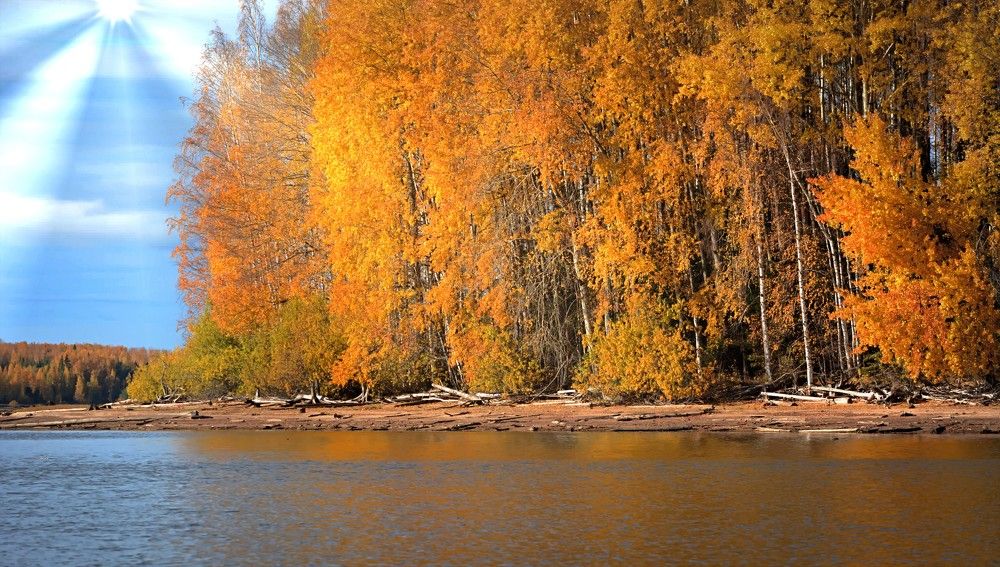 Photograph by Алексей Епишин