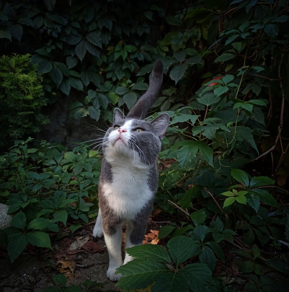 Photograph by Танька Сергеевна