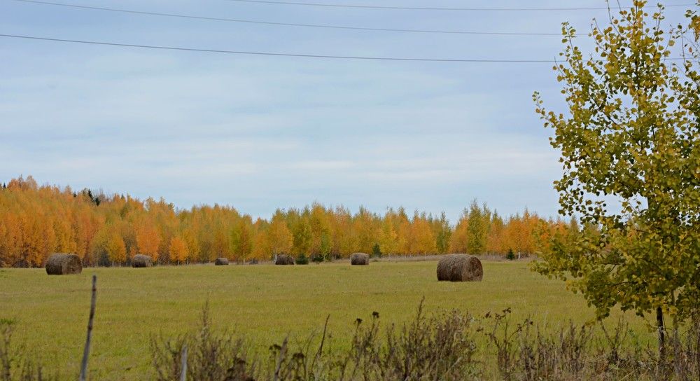 Photograph by Алексей Епишин