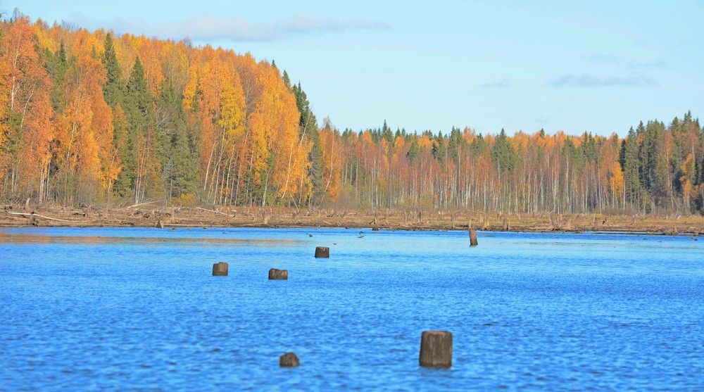 Photograph by Алексей Епишин