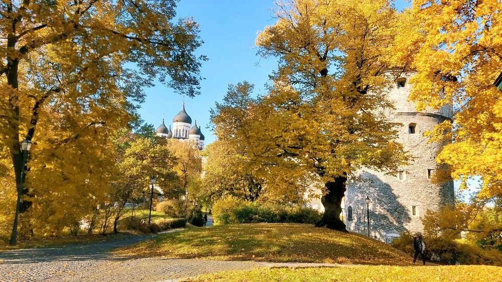 Photograph by Alla Matrosova