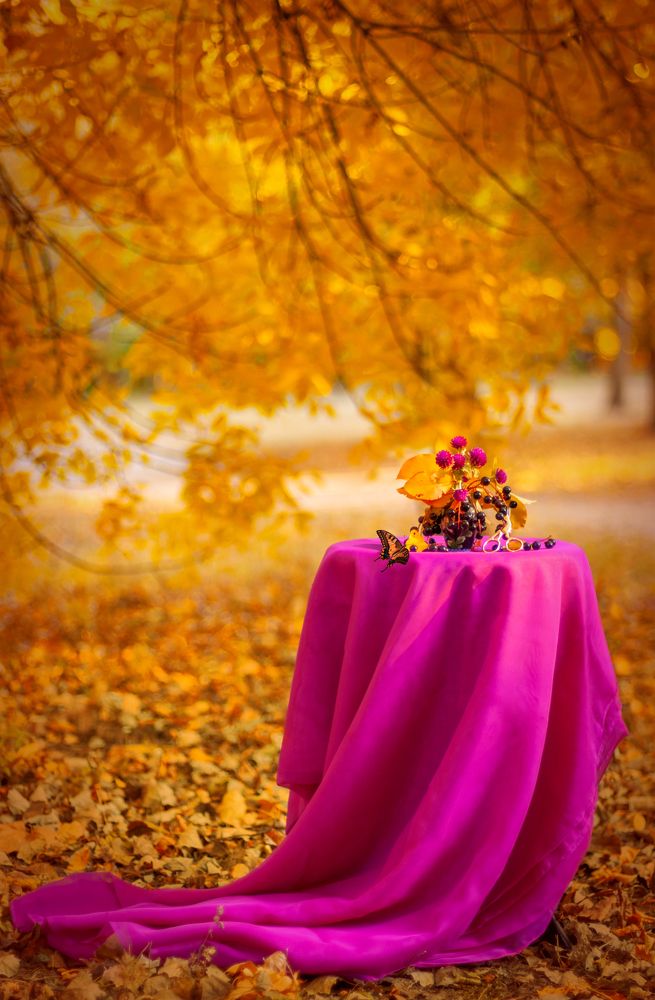 Осенний этюд