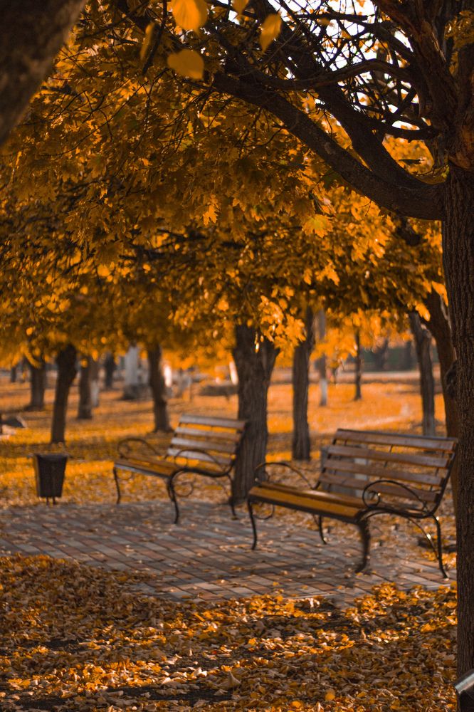 Photograph by Наталья Исиченко