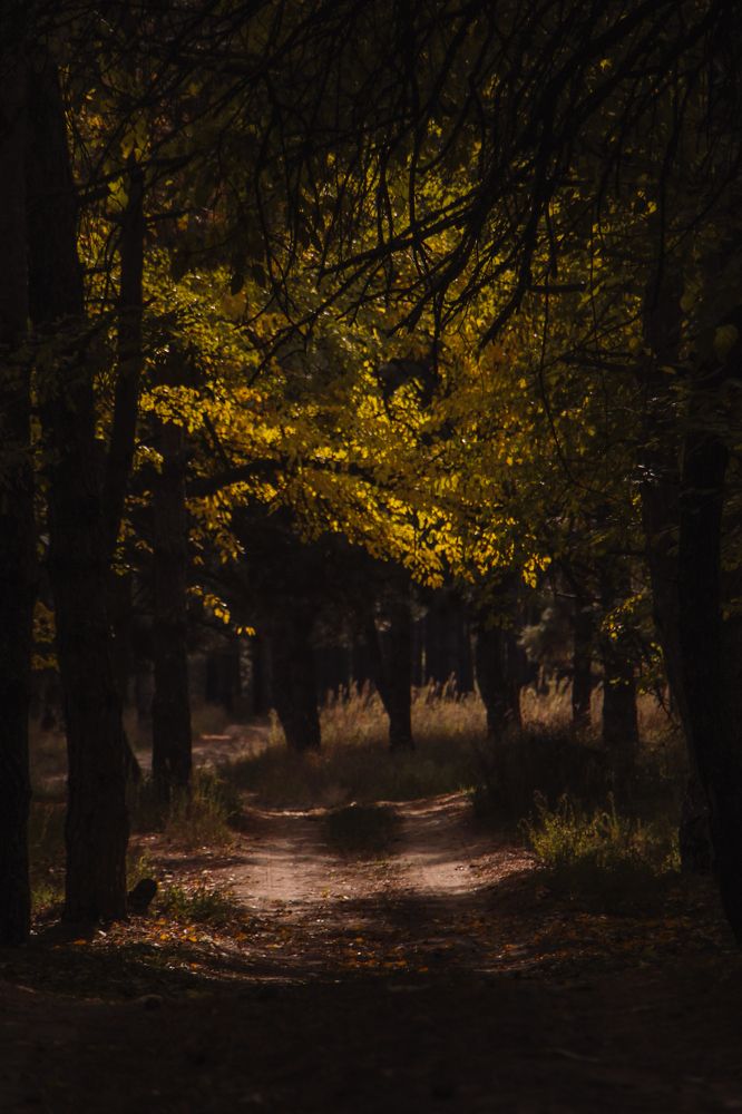 Photograph by Юлия Щербань