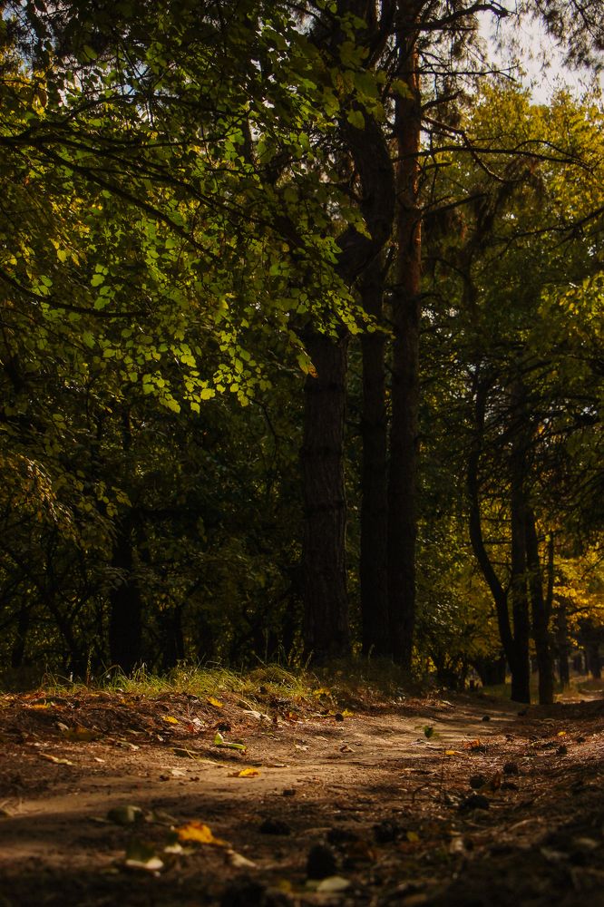 Photograph by Юлия Щербань