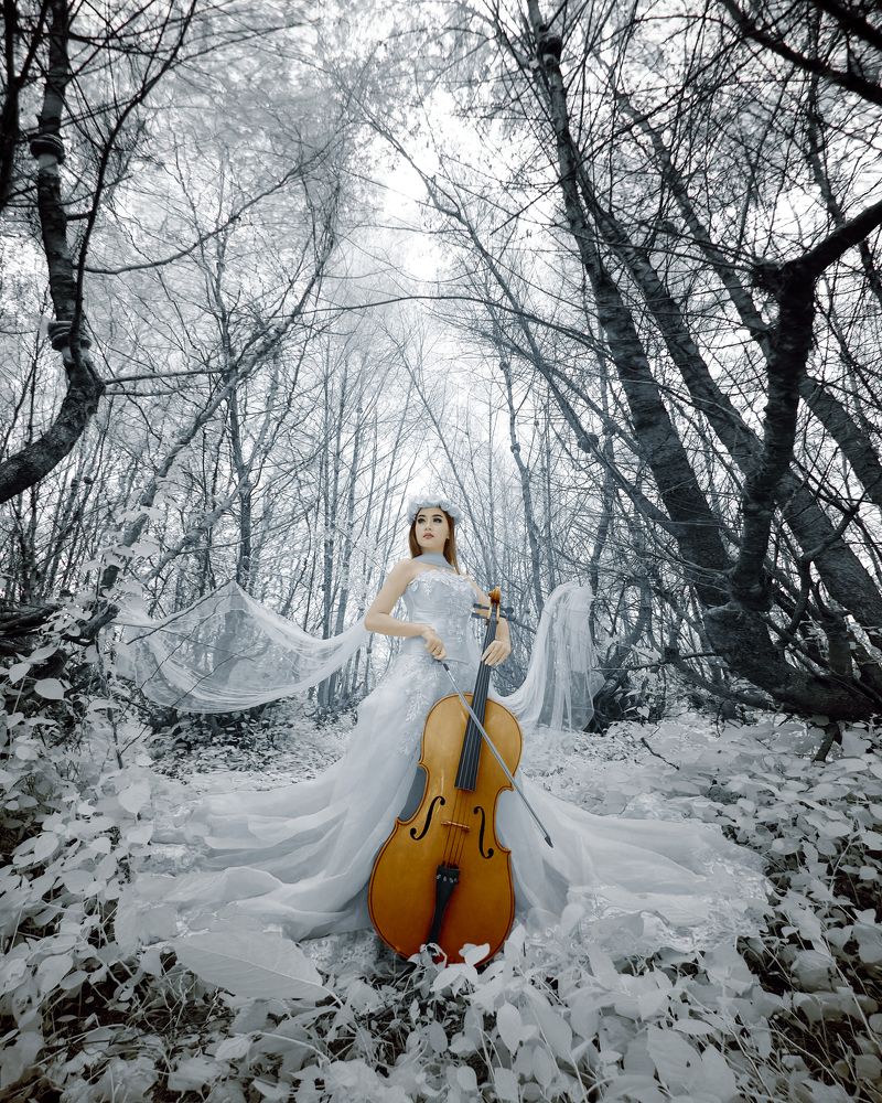 Photograph by Havid Pratama