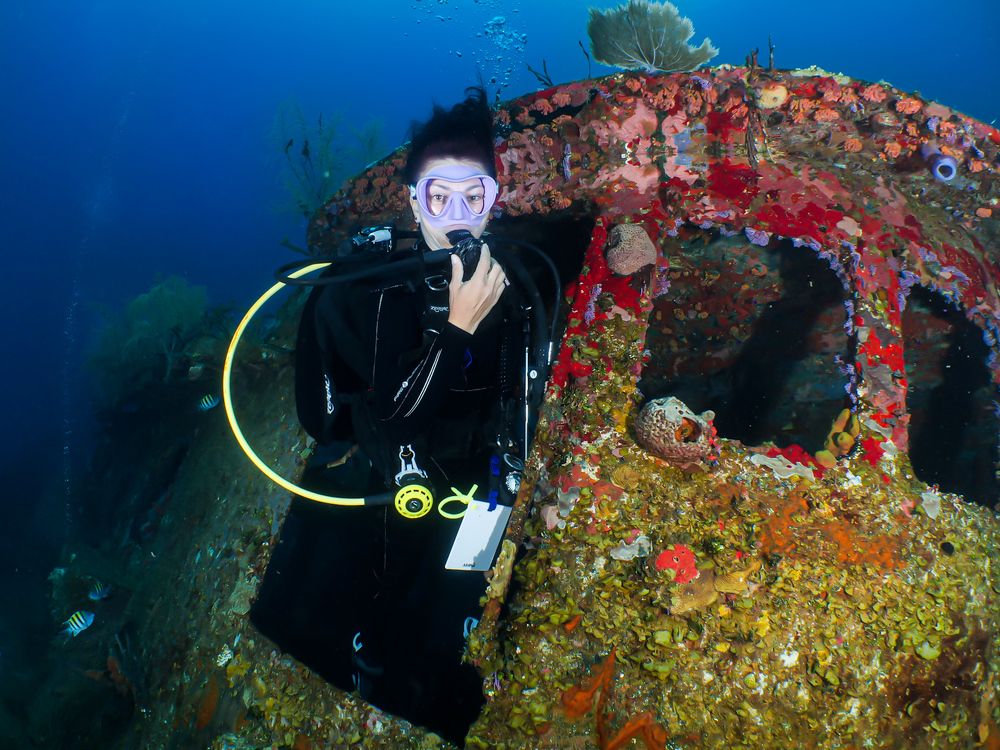 Underwater colors of Mr. Bud (shipwreck)