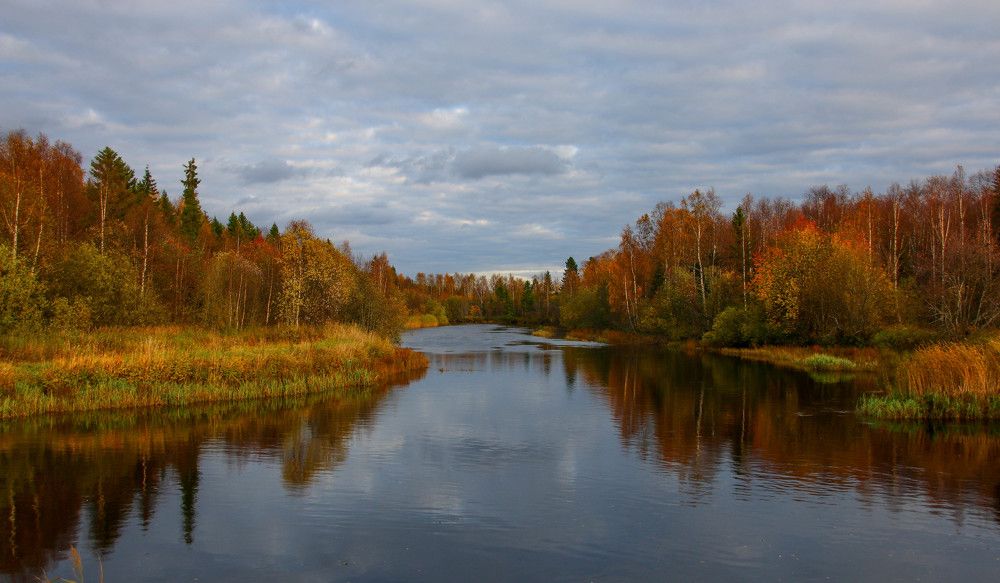 Photograph by Александр Трифанов