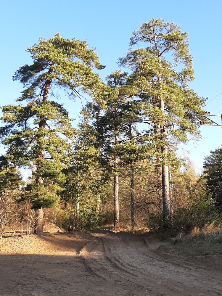 Photograph by Olga Smirnova