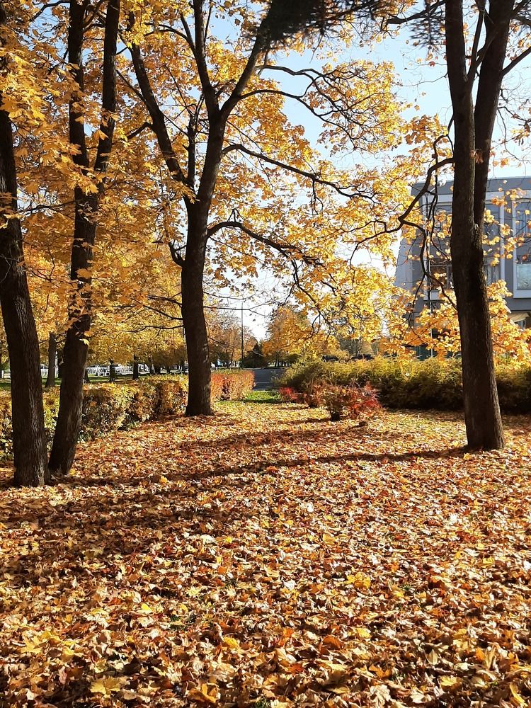 Photograph by Olga Smirnova