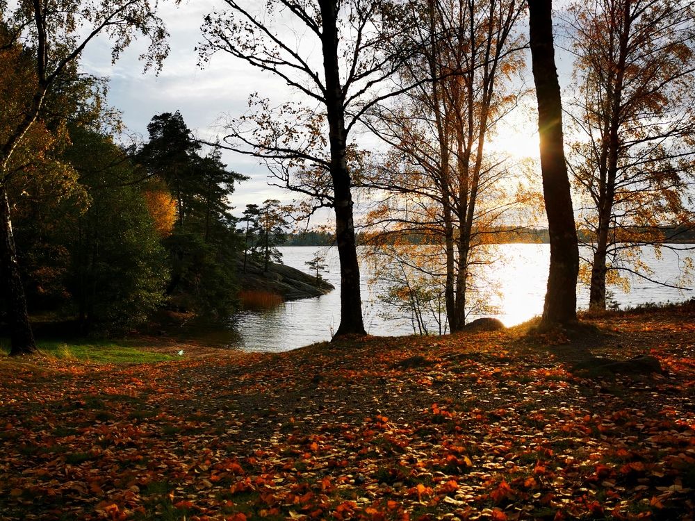 Photograph by Svetlana Jegorova