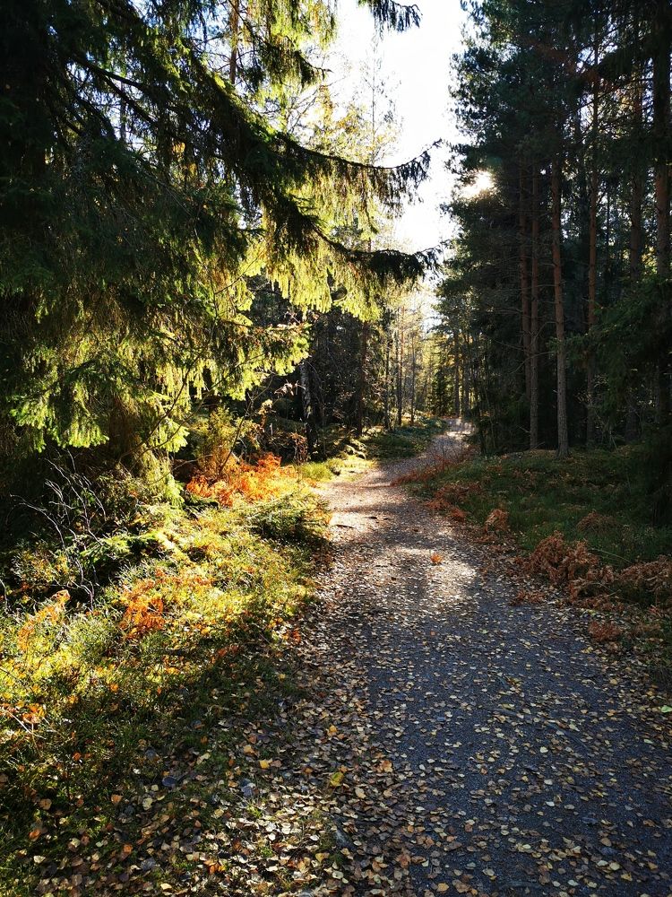 Photograph by Svetlana Jegorova