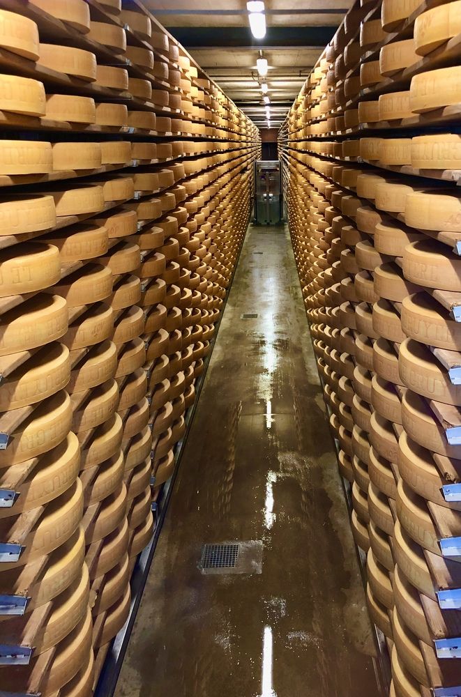 Сырная симметрия