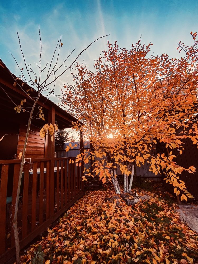 Photograph by Артем