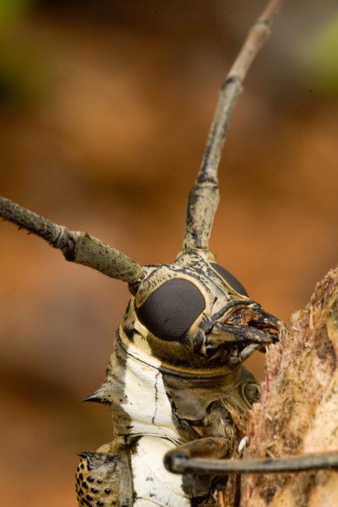 Photograph by Sahan Thinusha