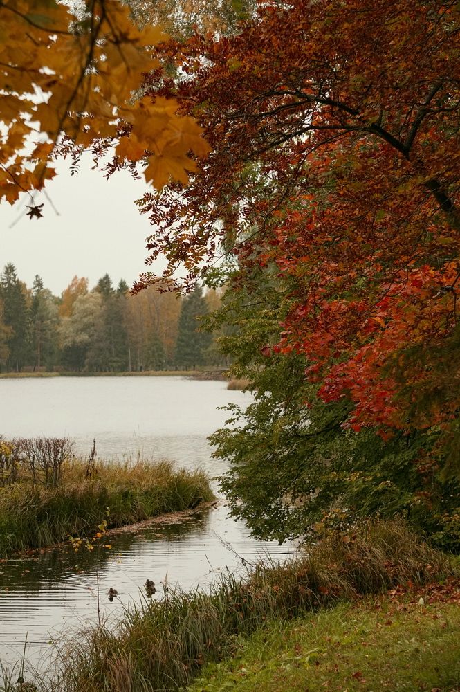 Photograph by Юлия Ганюшина