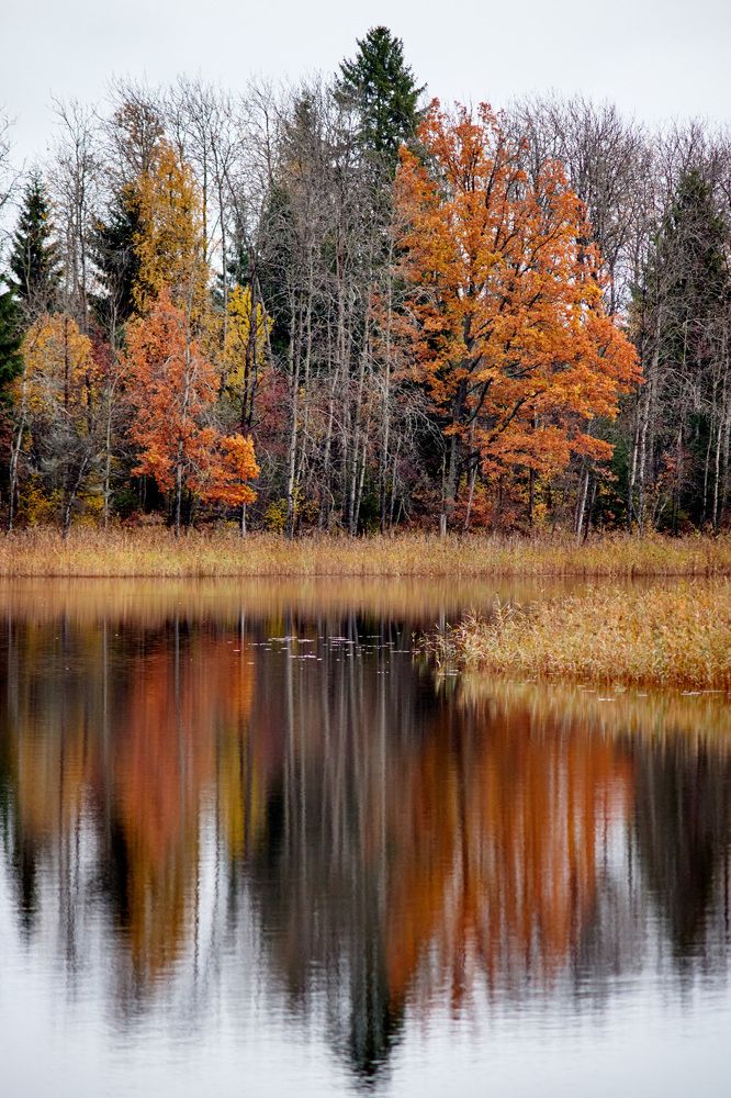 Photograph by Иван Бондаренко