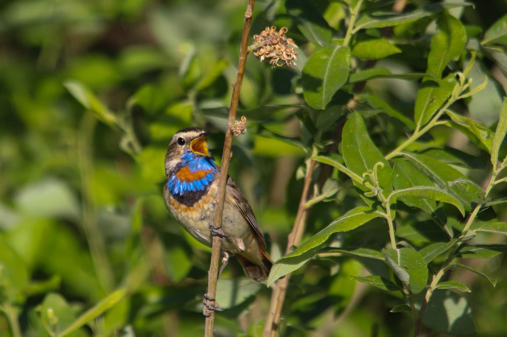 Photograph by Наталья Трифуз