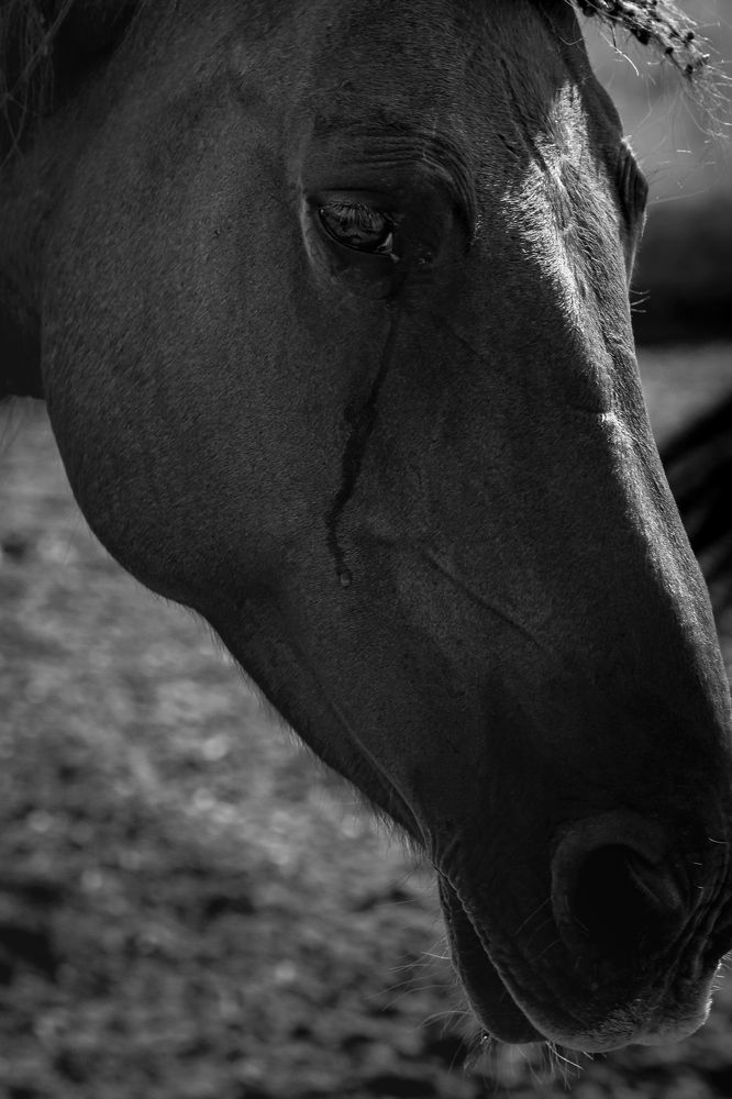 Тяжелая судьба